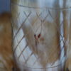 gobelet graver bord laiton